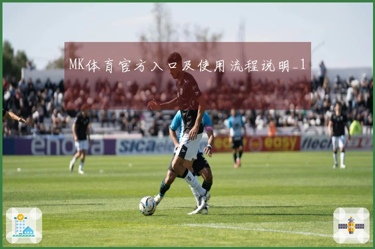 MK体育官方入口及使用流程说明_1